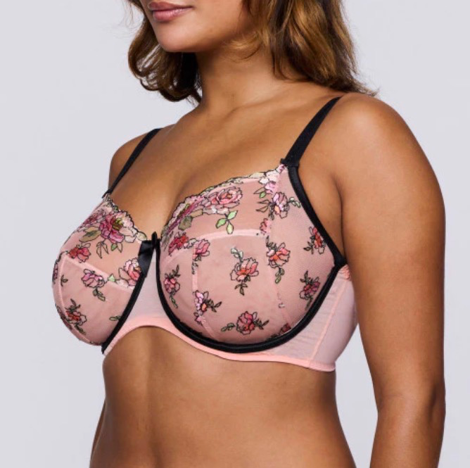 Eraclea vue de profil