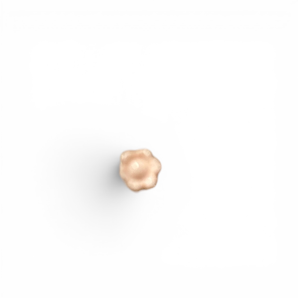 Bouton PL40 1cm