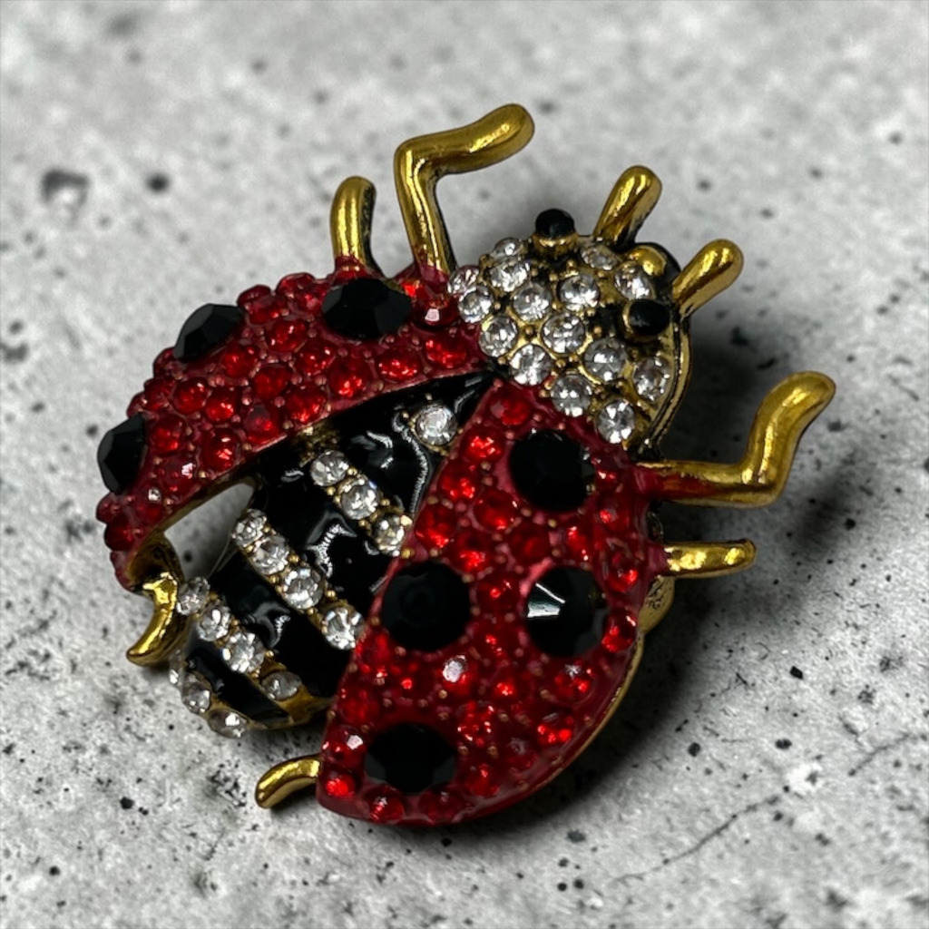 Broche Coccinelle Porte-bonheur
