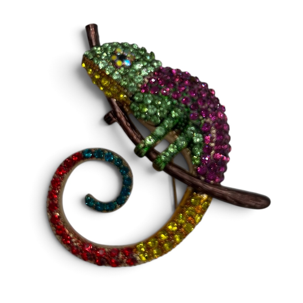 Broche Caméleon Eclat - Originalité